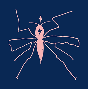 Gavin Friday - The Casement Sonata